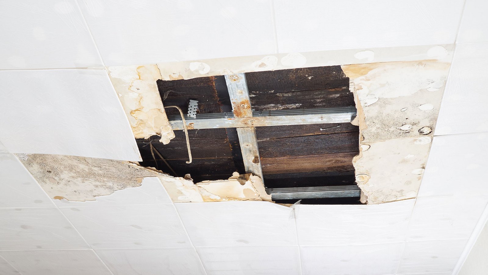 2 Children Injured After Ceiling Collapse in Bronx